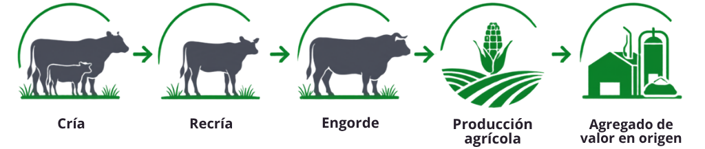 Integración del sistema y agregado de valor — Cría, recría, engorde, producción agrícola y agregado de valor en origen